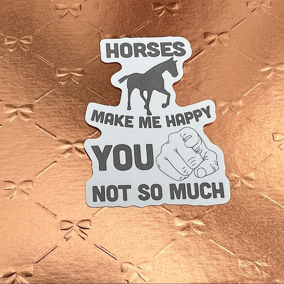 Horse Humor Equestrian Horse Girl Horse Boy Cowboy CowGirl Single Decor Sticker - Picture 1 of 3